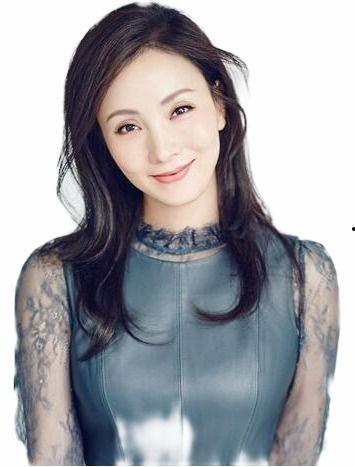 陶虹车祸爆料视频最新,事故真相与公众关注  第2张