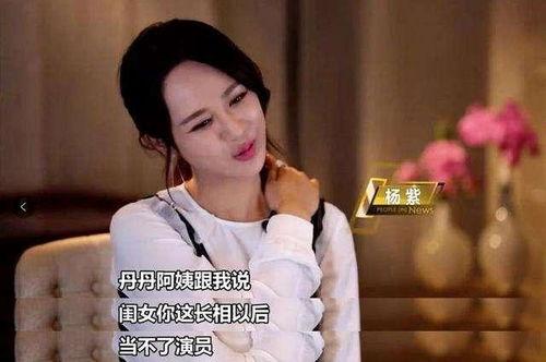 娱乐圈的24条爆料,揭秘明星背后的秘密与真相