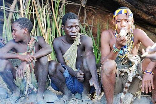 天体部落手机在线观看,宇宙探险之旅，手机在线尽享奇幻星空