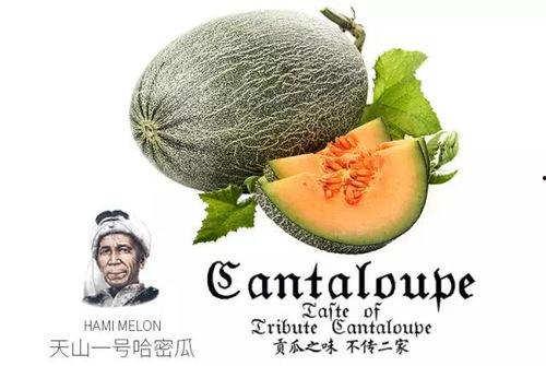 娱乐吃瓜喷子是谁的作品,网络红人的崛起与争议 第2张 娱乐吃瓜喷子是谁的作品,网络红人的崛起与争议 第2张