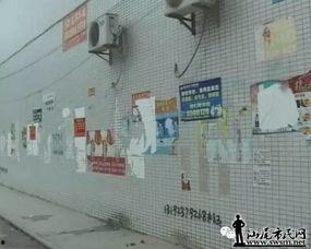 华苑路爆料新闻  第2张