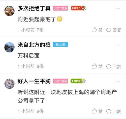 今日大爆料小程序是什么,带你探索资讯新天地  第3张