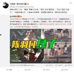 王搏被人爆料视频大全下载,网络爆料背后的真相与争议  第3张