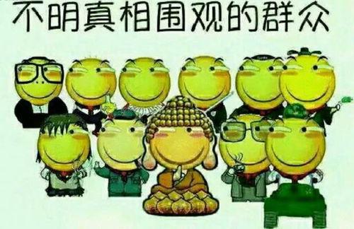 娱乐吃瓜文字游戏推荐